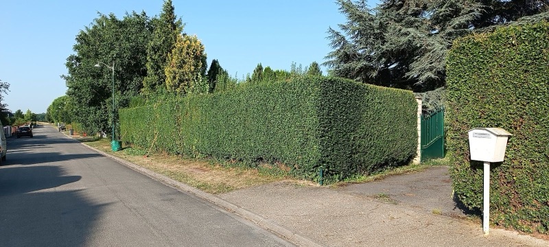 Entretien jardin Saint-Quentin par Home Confort Multi-Services