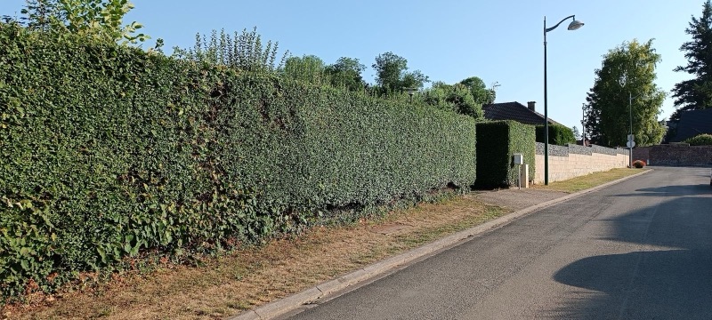 Désherbage et nettoyage jardin Saint-Quentin